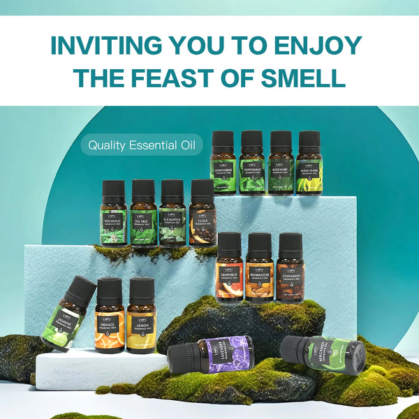 LAIFU Quality Essential Oil set arranged on mossy rocks and white steps, inviting customers to enjoy a feast of smell with scents like Eucalyptus, Rosemary, and Cinnamon.