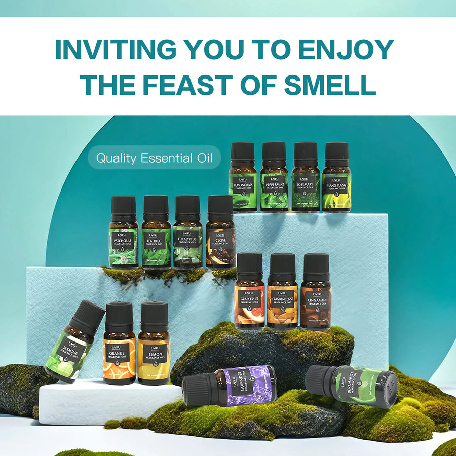 LAIFU Quality Essential Oil set arranged on mossy rocks and white steps, inviting customers to enjoy a feast of smell with scents like Eucalyptus, Rosemary, and Cinnamon.