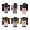 Visual representation of the 6 LAIFU Gentlemen's essential oil scents: Leather texture, Cedar tree, Bay Rum drink, Sweet Tobacco, Teakwood, and Sandalwood.