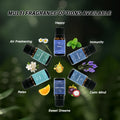 Multi fragrance options available in the LAIFU Well-being Set: Happy, Immunity, Calm Mind, Sweet Dreams, Relax, and Air Freshening, showcased with botanical illustrations.