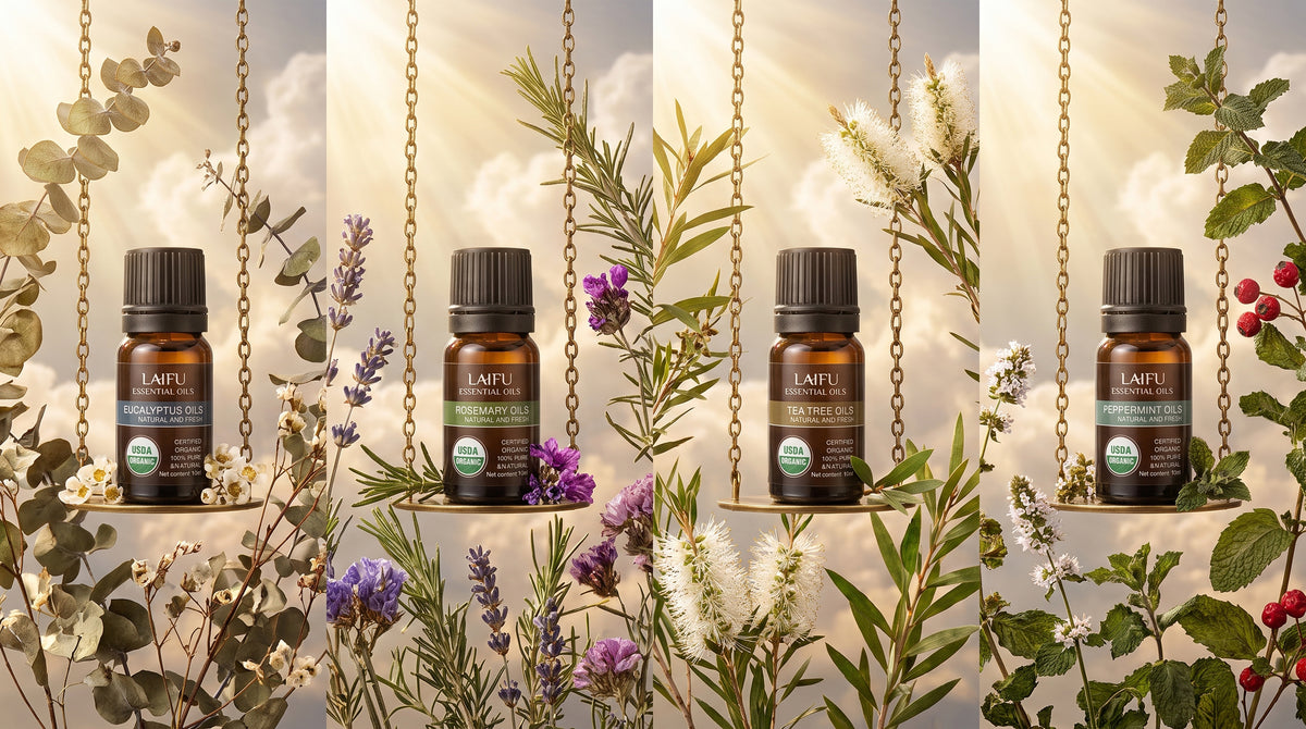 Hanging bottles of LAIFU Certified Organic Essential Oils (Eucalyptus, Rosemary, Tea Tree, Peppermint) displayed with fresh leaves and herbs in sunlight.