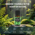 LAIFU Peppermint fragrance oil bottle on a rock in a lush green forest, highlighting naturally plant-extracted, carefully blended, and long-lasting fragrance release.