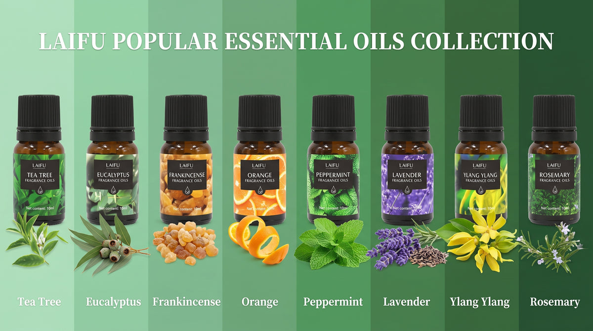 LAIFU Popular Essential Oils Collection Part 2 featuring 8 scents: Tea Tree, Eucalyptus, Frankincense, Orange, Peppermint, Lavender, Ylang Ylang, and Rosemary.