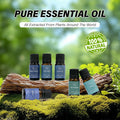 Pure Essential Oil Blends from LAIFU arranged on a mossy log in a forest, highlighting 100% natural ingredients extracted from plants around the world.