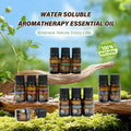Water soluble and 100% natural LAIFU Aromatherapy Essential Oils arranged on a mossy log in a forest, embracing nature for a better life.